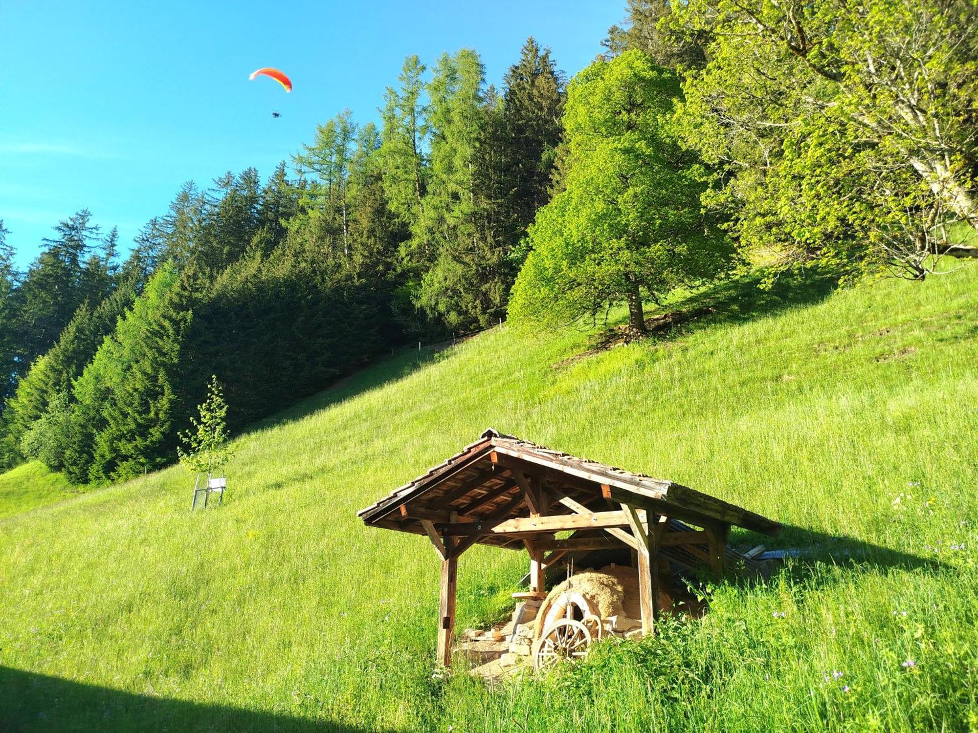 Sonnenhof Wengen - First Hotel Of Wengen Esterno foto